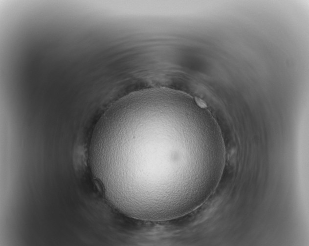 X0000089860772200707051132