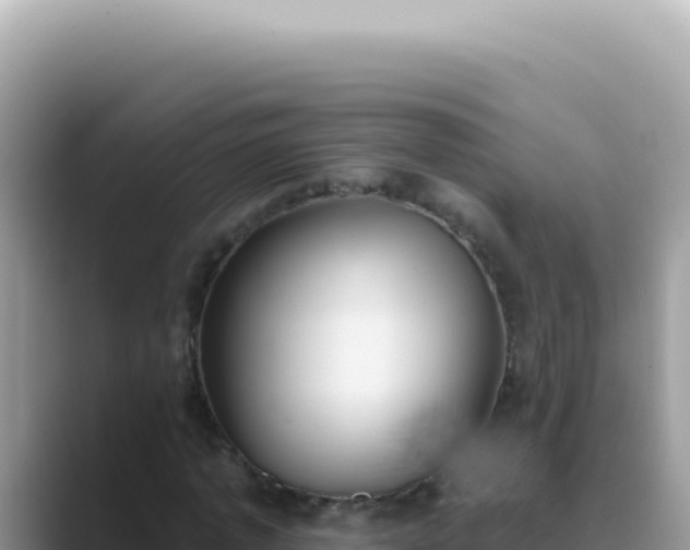 X0000089860773200707051132