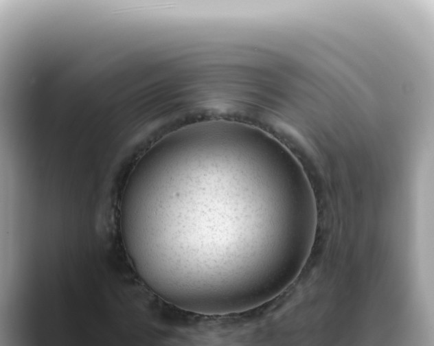 X0000089860776200707051132