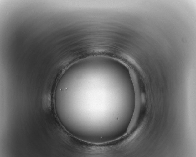 X0000089860777200707051132