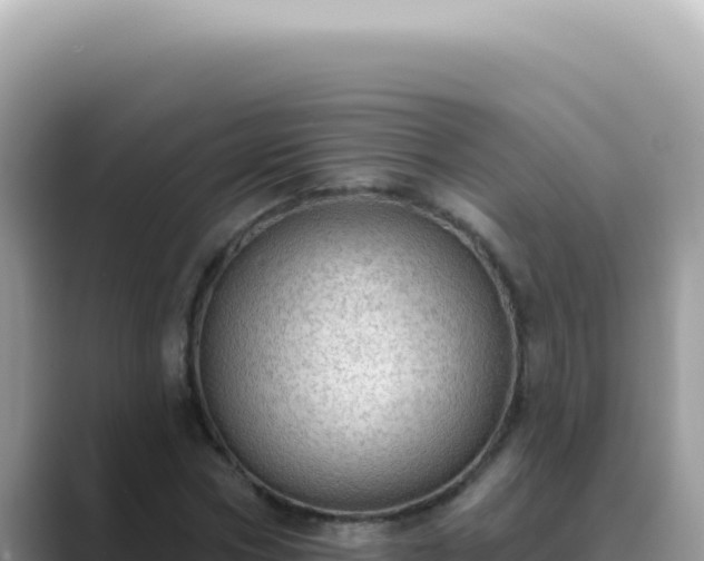 X0000089860778200707051132