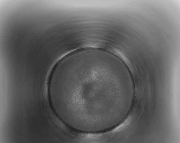X0000089860779200707051132