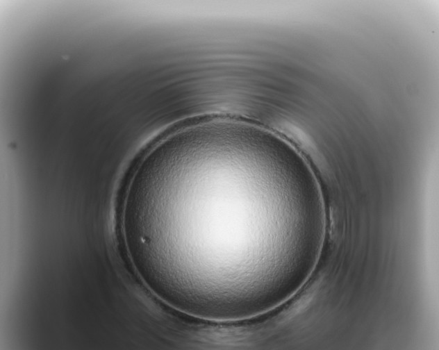 X0000089860780200707051132