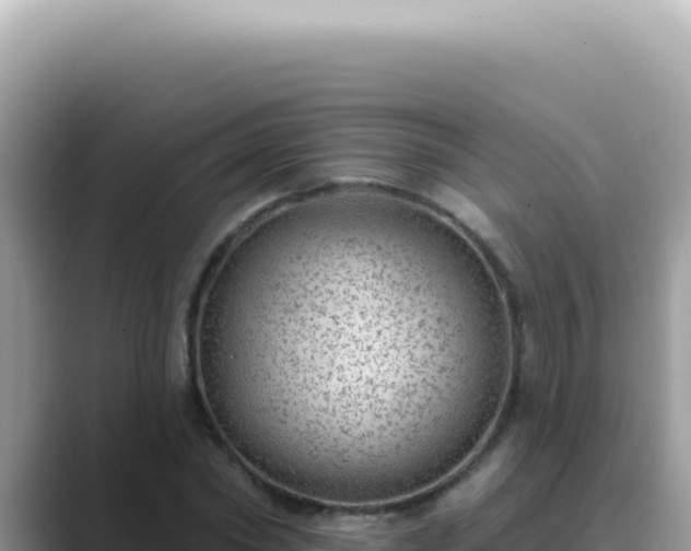 X0000089860782200707051132