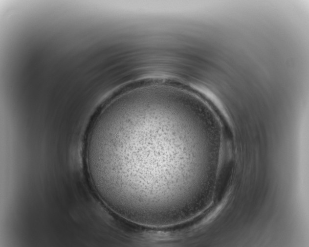 X0000089860783200707051132