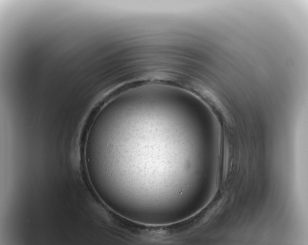 X0000089860784200707051132