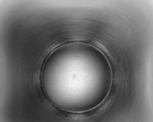 X0000089860786200707051132