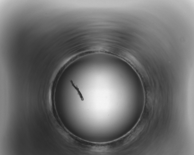 X0000089860788200707051132