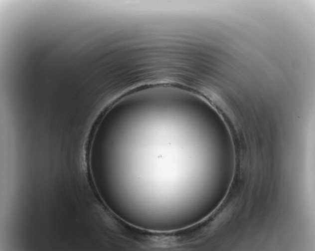 X0000089860789200707051132