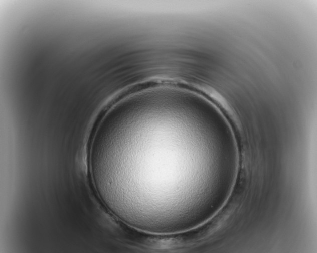 X0000089860791200707051132