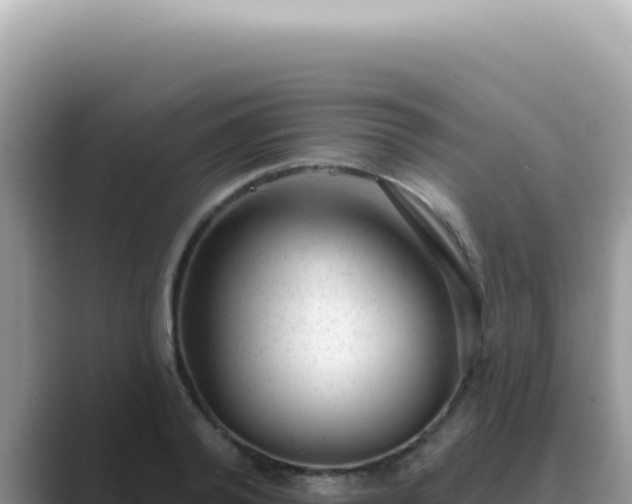 X0000089860792200707051132