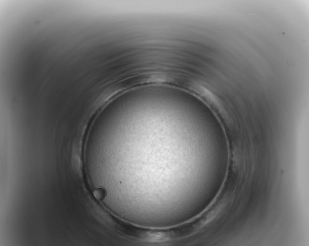 X0000089860794200707051132