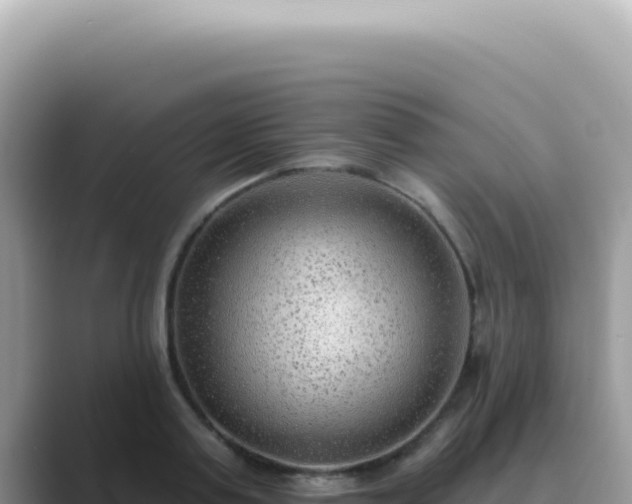 X0000089860795200707051132
