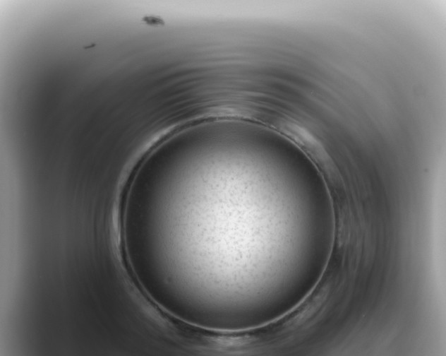 X0000089860796200707051132
