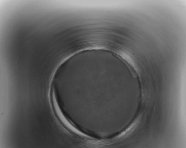X0000089860797200707051132