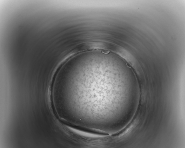 X0000089860798200707051132