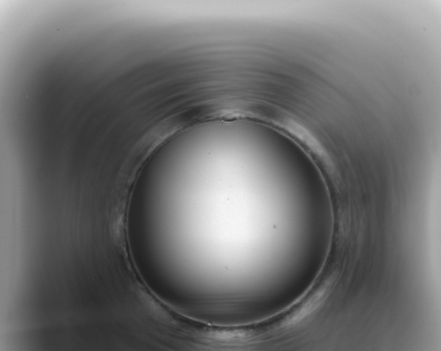 X0000089860801200707051132
