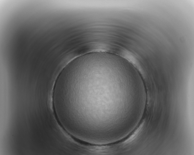 X0000089860802200707051132