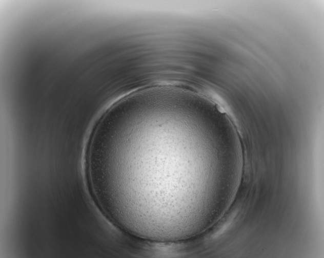 X0000089860803200707051132