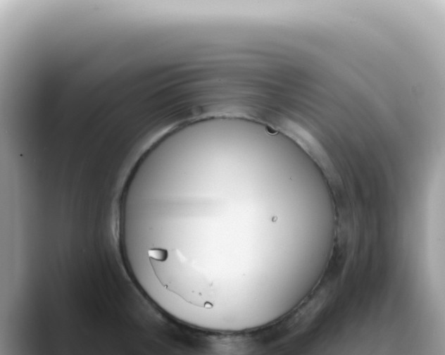 X0000089860804200707051132