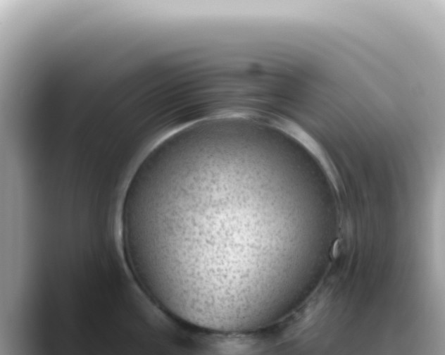 X0000089860811200707051132