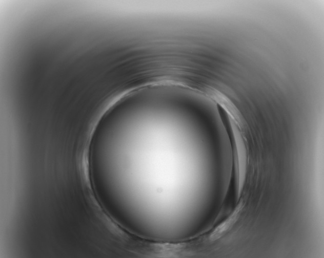 X0000089860812200707051132