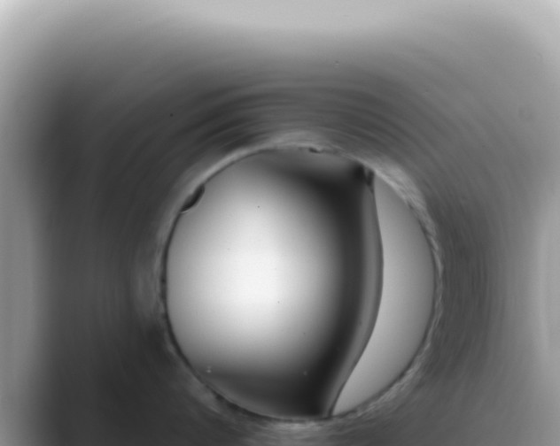 X0000089860816200707051132