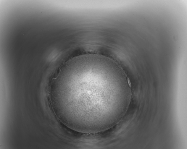 X0000089860817200707051131