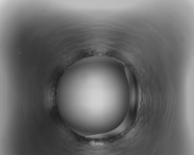 X0000089860818200707051131