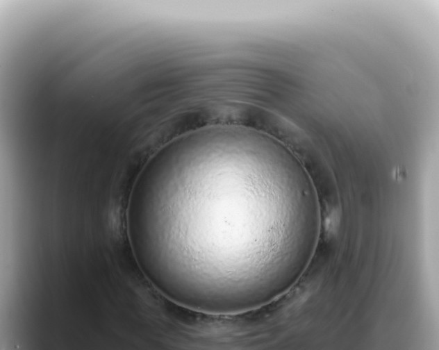 X0000089860819200707051131