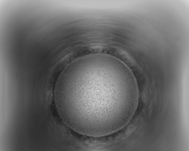 X0000089860821200707051131