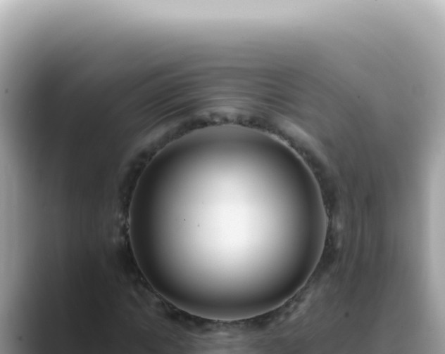 X0000089860822200707051131