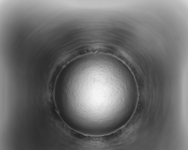 X0000089860823200707051131