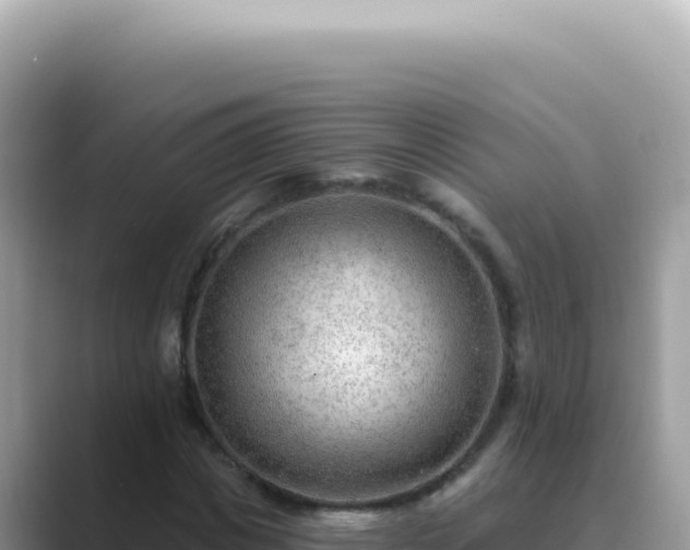 X0000089860825200707051132