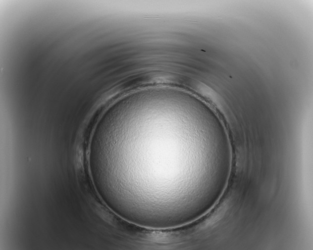 X0000089860827200707051132