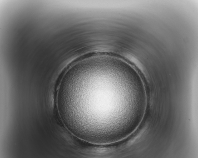 X0000089860829200707051132
