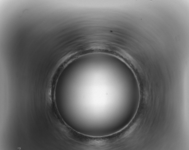 X0000089860830200707051132