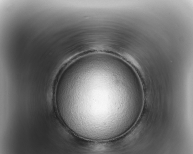 X0000089860831200707051132