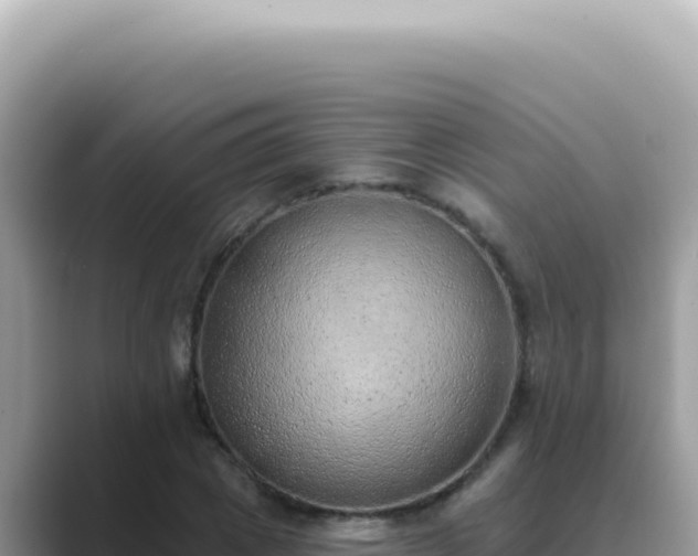 X0000089860833200707051132