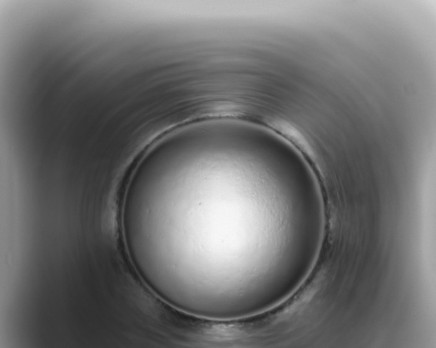 X0000089860835200707051132