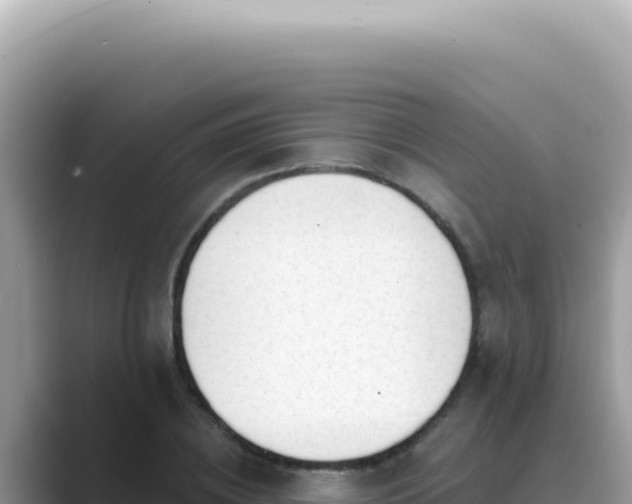 X0000089860836200707051132