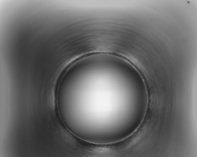 X0000089860838200707051132