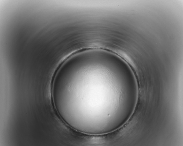 X0000089860839200707051132