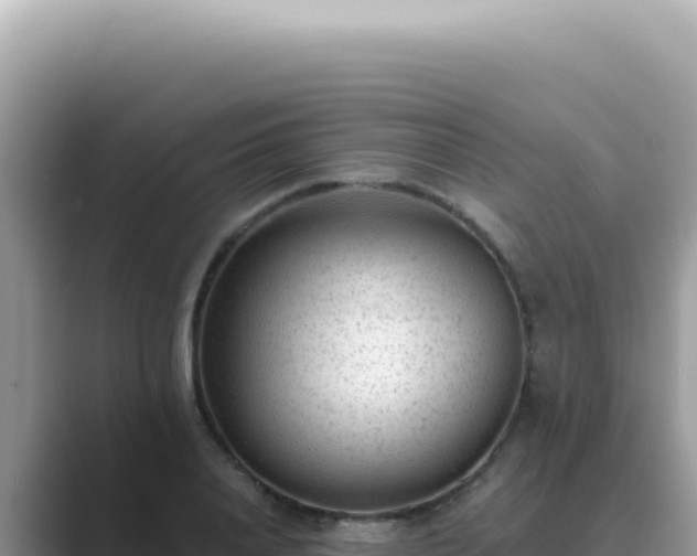X0000089860840200707051132