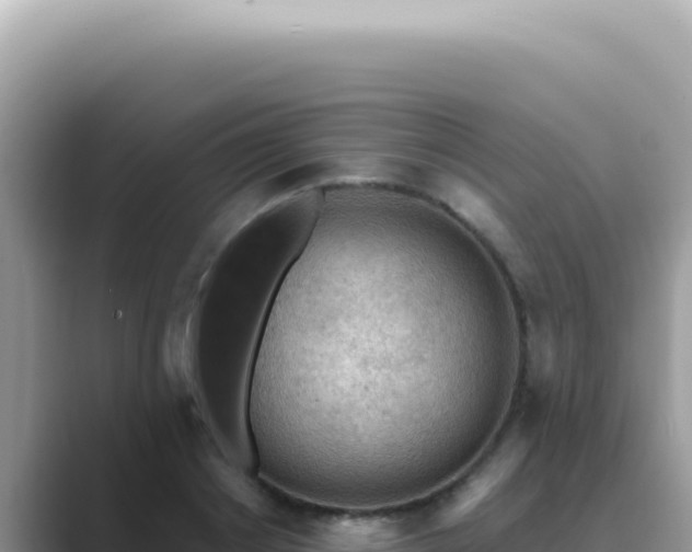 X0000089860842200707051132