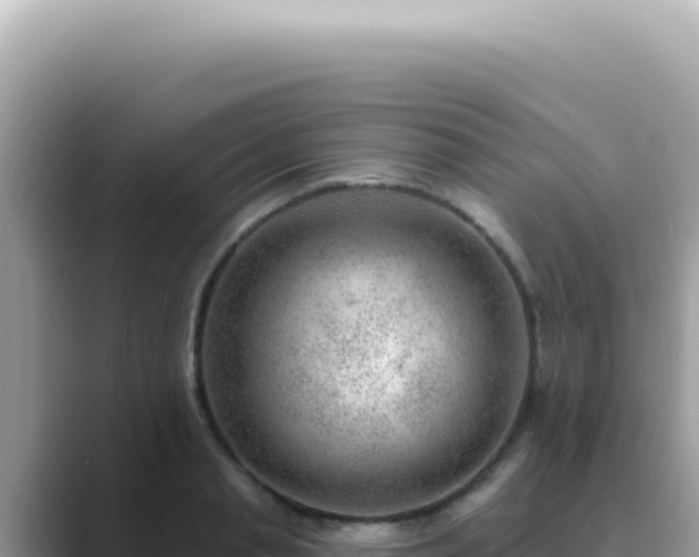 X0000089860845200707051132