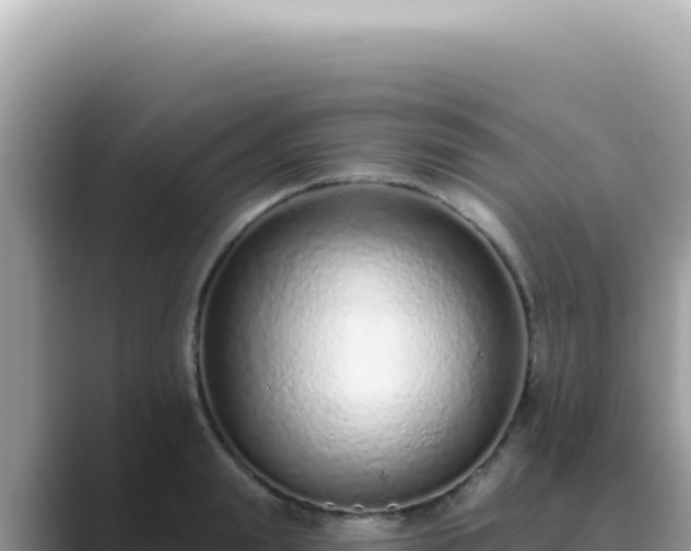 X0000089860847200707051132