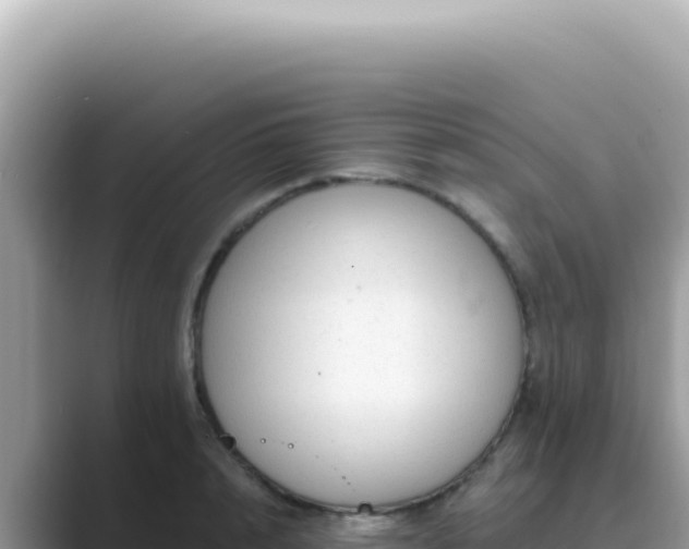X0000089860848200707051132