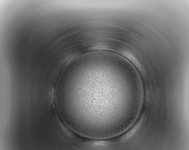 X0000089860849200707051132
