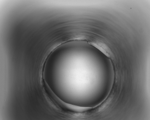 X0000089860850200707051132